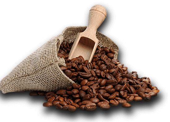 Whole roasted coffee beans in a rustic burlap bag with a wooden measuring scoop on a clean white background.