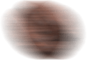 Motion blur effect of a single roasted coffee bean on a white background