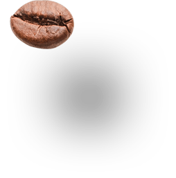 Macro view of a single roasted coffee bean floating with a soft drop shadow on a white background