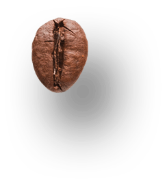 Macro shot of a single roasted coffee bean with a soft shadow on a white background