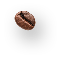 Macro photograph of a single roasted dark coffee bean with a soft shadow.